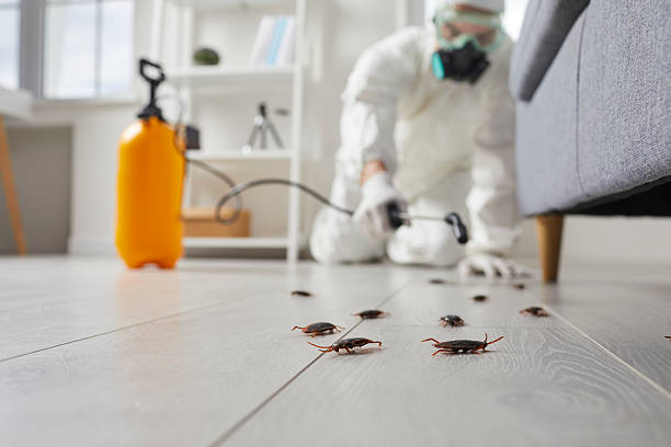 Commercial Kitchen Cockroach Control in Delphos